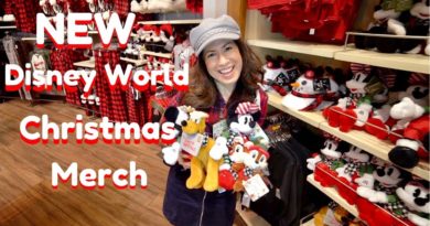 FIRST LOOK AT CHRISTMAS MERCH AT DISNEY WORLD - Disney Springs - WORLD OF DISNEY STORE