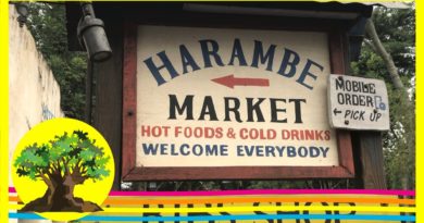 FOOD REVIEW Harambe Market at Animal Kingdom + Kilimanjaro Safaris - Fresh Baked WDW Food Week