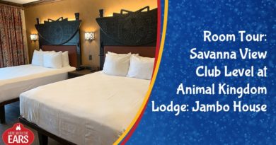 Full Room Tour of a Remodeled Room at Animal Kingdom Lodge: Jambo House Savanna View Club Level