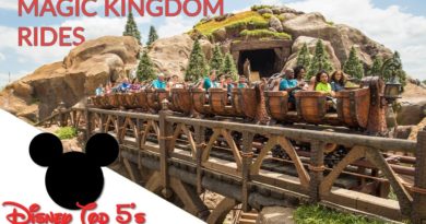 Top 5 Magic Kingdom Rides, Walt Disney World