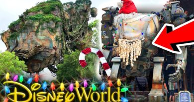 HUGE NEW HOLIDAY ADDITIONS Come to Disney's Animal Kingdom! - Disney News Vlog