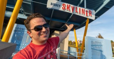 Answering your questions about the Skyliner Gondola System - Walt Disney World