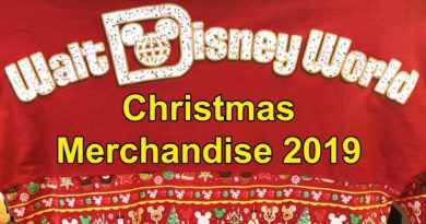 2019 Holiday Merchandise at Walt Disney World, First Look at Epcot's Mouse Gear & Germany Pavilion