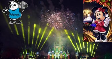 Minnie's Wonderful Christmastime Fireworks - NEW - Magic Kingdom - Walt Disney World