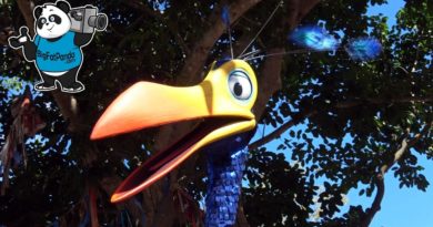 Kevin - Bird from UP Movie - Animal Kingdom NEW Walk Around Character - Walt Disney World