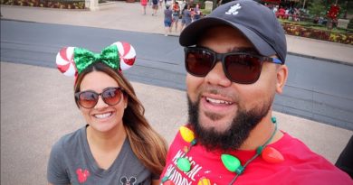 It's Christmas Time Here At Disney World - New 2019 Disney Christmas Merchandise & Treats!