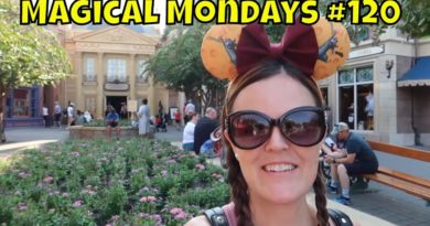 Epcot's France Pavilion - Trying Candy and Food From Around the World Showcase