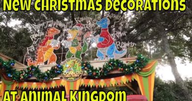 Animal Kingdom's New Christmas Decorations - Magical Mondays #122