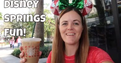 Disney Springs Fun - Shopping, Holiday Drinks at Starbucks and Searching for Christmas!