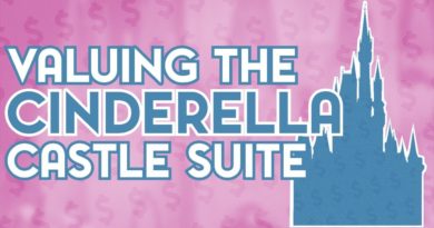 How Much Would The Cinderella Castle Suite Cost for One Night?