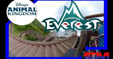 [4K]Expedition Everest - Side View - Animal Kingdom