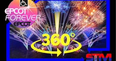 Epcot Forever Fireworks - Handicap Area - 360° 5K VR POV - EPCOT