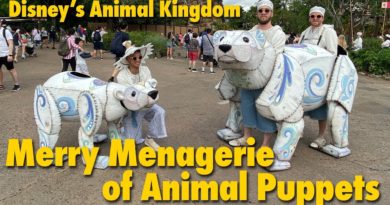 Merry Menagerie of Animal Puppets - Disney's Animal Kingdom