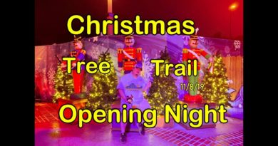 Disney Springs - Christmas Tree Trail - Opening Night 2019