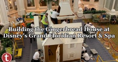 Building the Gingerbread House at Disney's Grand Floridian