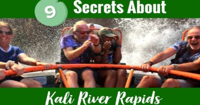 9 Fun Facts About Kali River Rapids at Disney’s Animal Kingdom