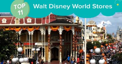 Top 11 Best Places to Shop at Walt Disney World