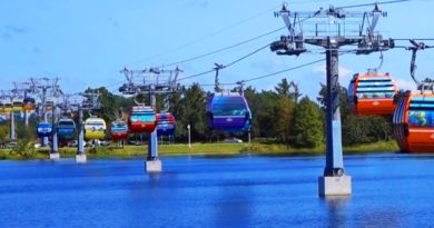 Disney Skyliner Transportation System at Walt Disney World Resort!