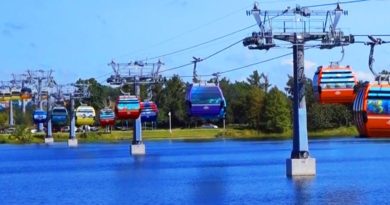 Disney Skyliner Transportation System at Walt Disney World Resort!