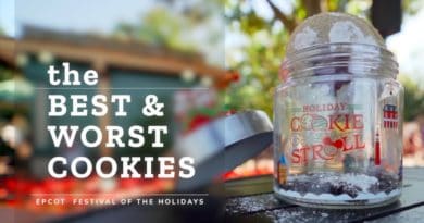 The Best & Worst Cookies at Epcot Festival of the Holidays