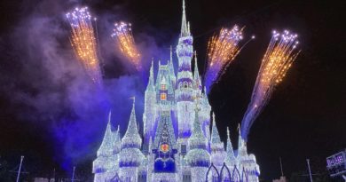 Frozen Holiday Wish at Disney's Magic Kingdom!