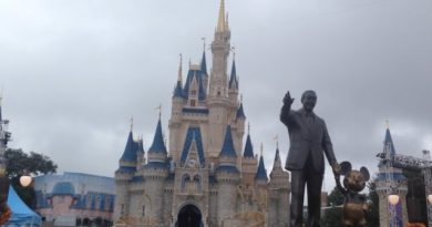 TDW 1185 - Hello Walt Disney World MAGIC KINGDOM