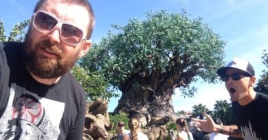 TDW 1153 - Disney's Animal Kingdom !