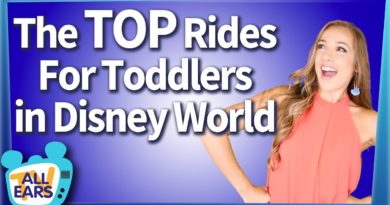 AllEars - Top Rides for You and Your Toddler in Walt Disney World