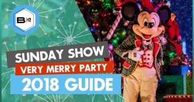 Beyond the Kingdoms -Sunday Show - Mickey's Very Merry Christmas Party 2018 Guide