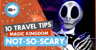 Beyond the Kingdoms - Top 10 Tips Visiting Mickey's Not-So-Scary Halloween Party 2019
