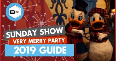 Beyond the Kingdoms - Guide to Mickey's Very Merry Christmas Party 2019