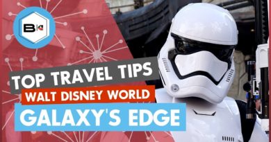 Beyond the Kingdoms - Top 10 Tips Visiting Star Wars Galaxy's Edge in Hollywood Studios