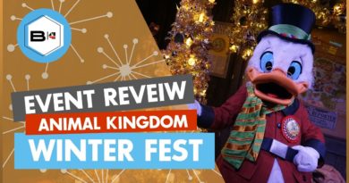 Beyond the Kingdoms - Animal Kingdom Winter Festival Review