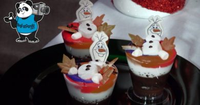 Big Fat Panda - Holiday Treats & Snacks at Magic Kingdom