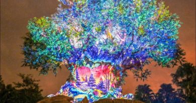 Blog Mickey - New Christmas Tree of Life Show 2019