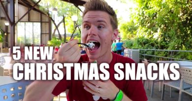Cory Meets World - 5 New Christmas Snacks at Hollywood Studios