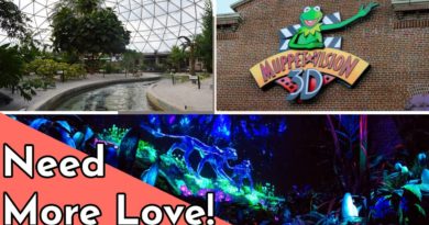 Ivy Winter - 10 Underrated Rides At Walt Disney World