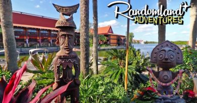 Justin Scarred - Polynesian Resort
