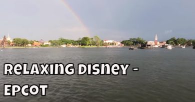 Resort TV1 - Relaxing Video - Epcot