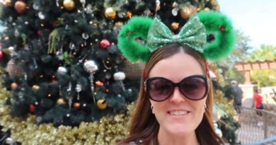 Resort TV 1 - Disney Springs Decorations and Stitch's Holiday Hunt