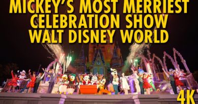 The DIS - Mickey's Most Merriest Celebration Show