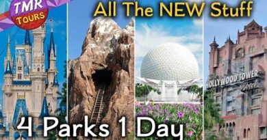 TMR Tours - 4 Parks in 1 Day at Walt Disney World