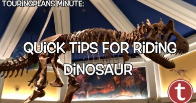 Touring Plans Minute - Dinosaur at Dinoland USA in Animal Kingdom