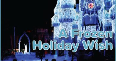 Undercover Tourist - A Frozen Holiday Wish at Magic Kingdom 2019