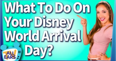 What To Do On Your Disney World Arrival Day?