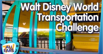 The Disney Transportation Challenge - Instagram Sent Me ALL Over Walt Disney World!
