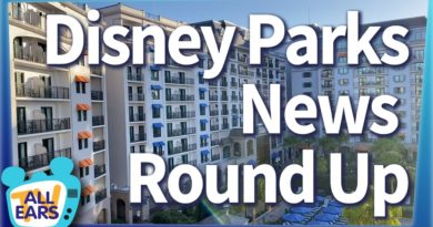 New Disney Resorts, Lots of Ride Opening Announcements and So Much More Disney Parks News