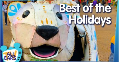 The BEST of the Holidays in Walt Disney World!