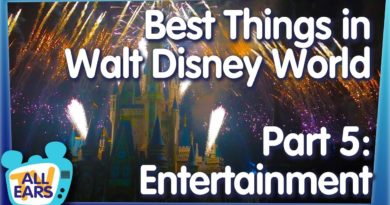 The 50 Best Things You Can Do in Walt Disney World -- Part 5: Entertainment