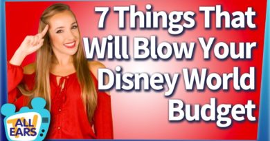 7 Things That Will Blow Your Walt Disney World Budget